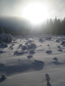 Sonnenschein auf dem Rabenberg